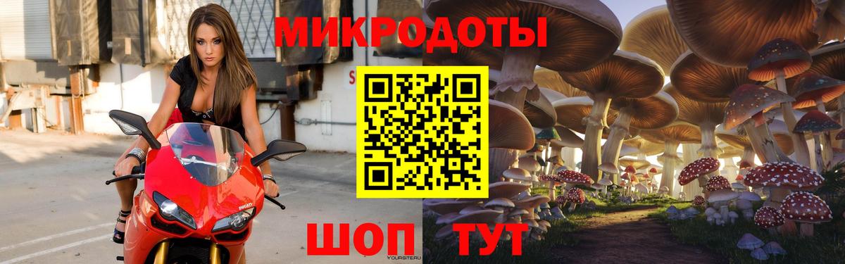 Галлюциногенные грибы Psilocybe  где можно купить   Чита  Вход с VPN 